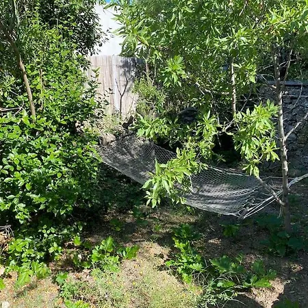 Loft Sur Le Mont Saint Clair - Villa *