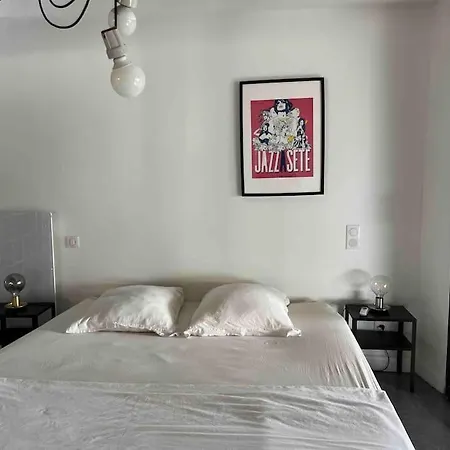 Loft Sur Le Mont Saint Clair - Villa *