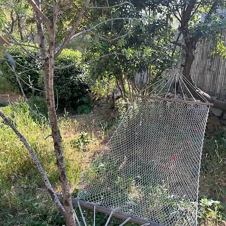 Loft Sur Le Mont Saint Clair -