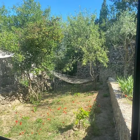 Villa Loft Sur Le Mont Saint Clair - *