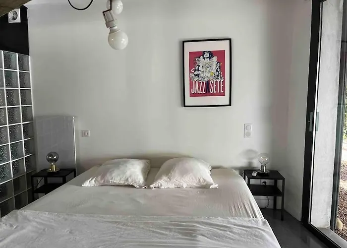 Loft Sur Le Mont Saint Clair - Villa *